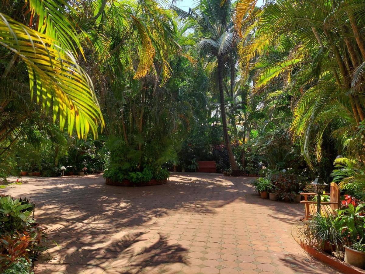Palm Grove Cottages - Leisure Resort Бенаулим Экстерьер фото