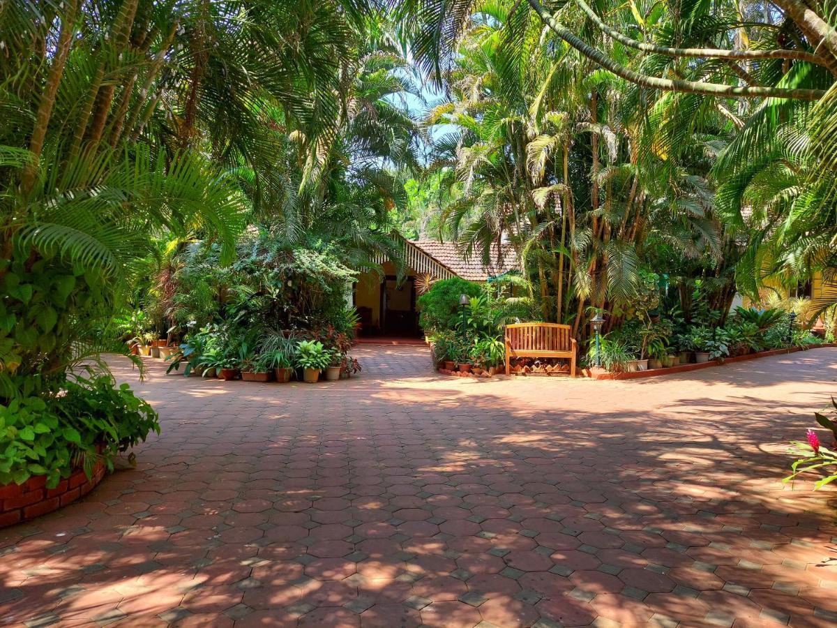 Palm Grove Cottages - Leisure Resort Бенаулим Экстерьер фото