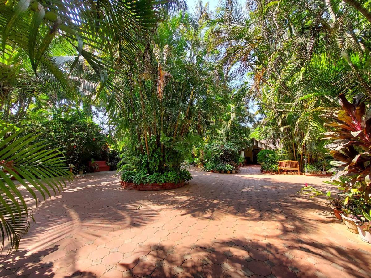 Palm Grove Cottages - Leisure Resort Бенаулим Экстерьер фото