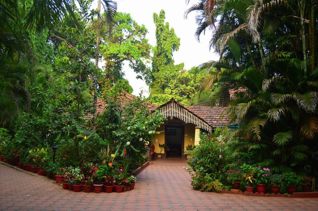 Palm Grove Cottages - Leisure Resort Бенаулим Экстерьер фото