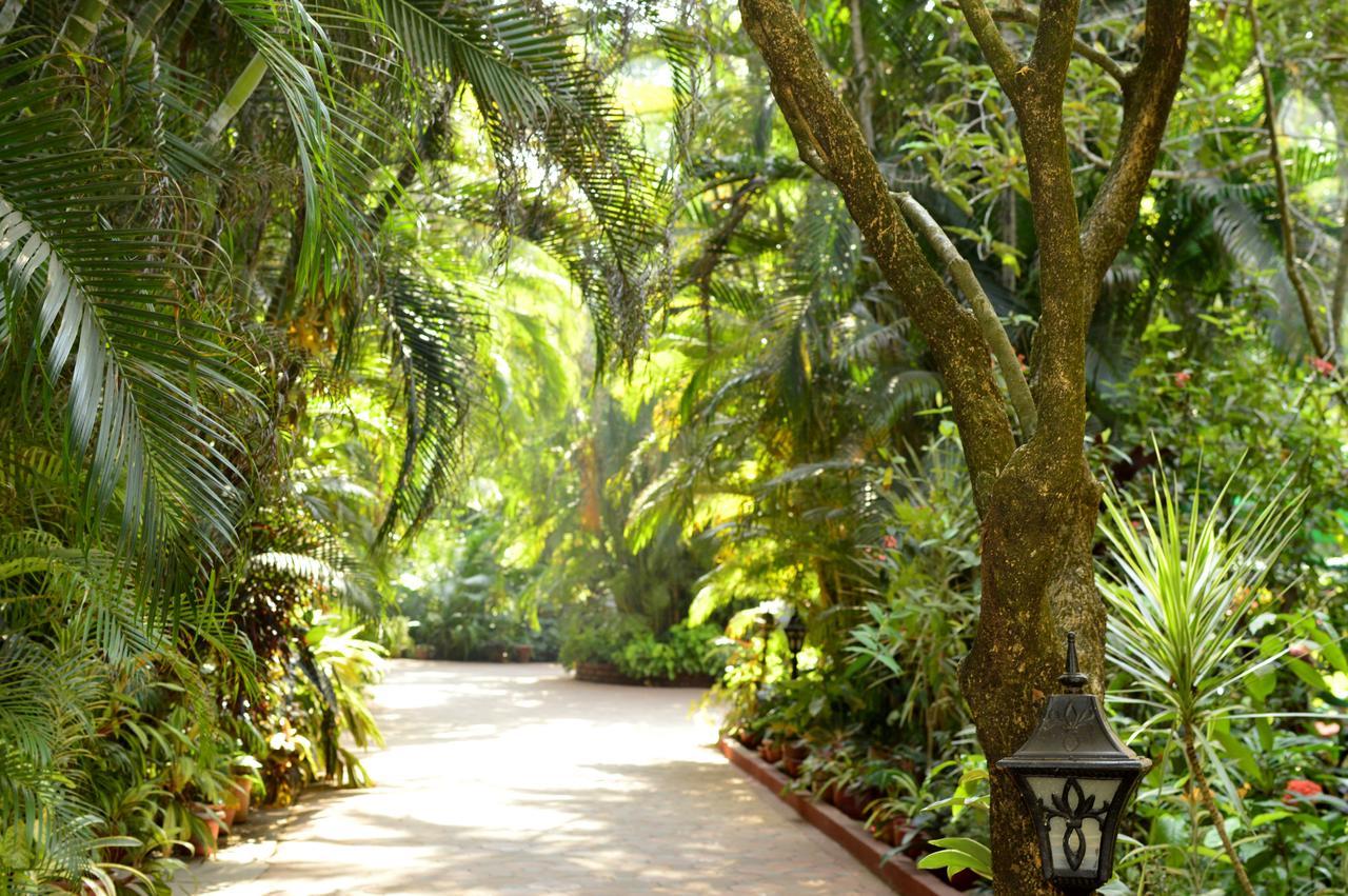 Palm Grove Cottages - Leisure Resort Бенаулим Экстерьер фото