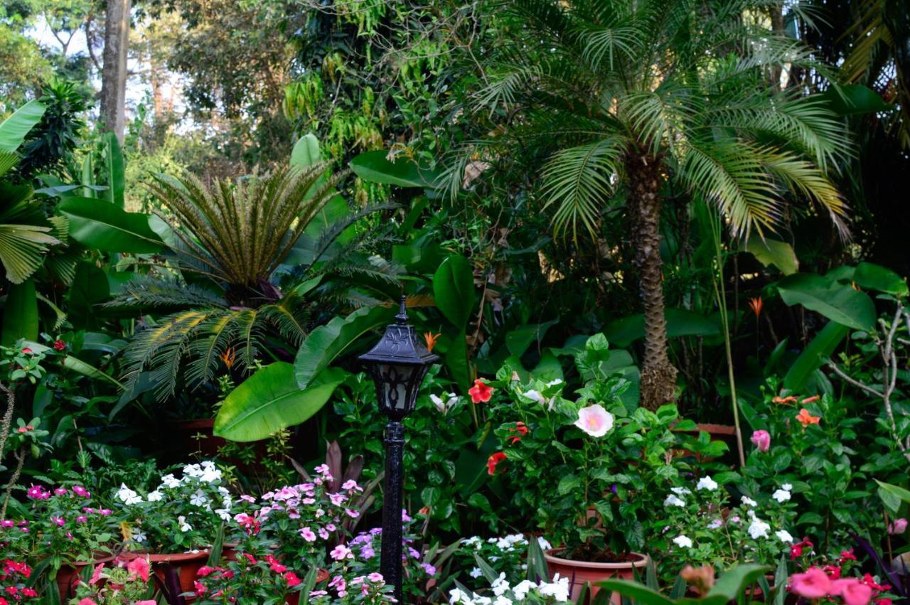 Palm Grove Cottages - Leisure Resort Бенаулим Экстерьер фото